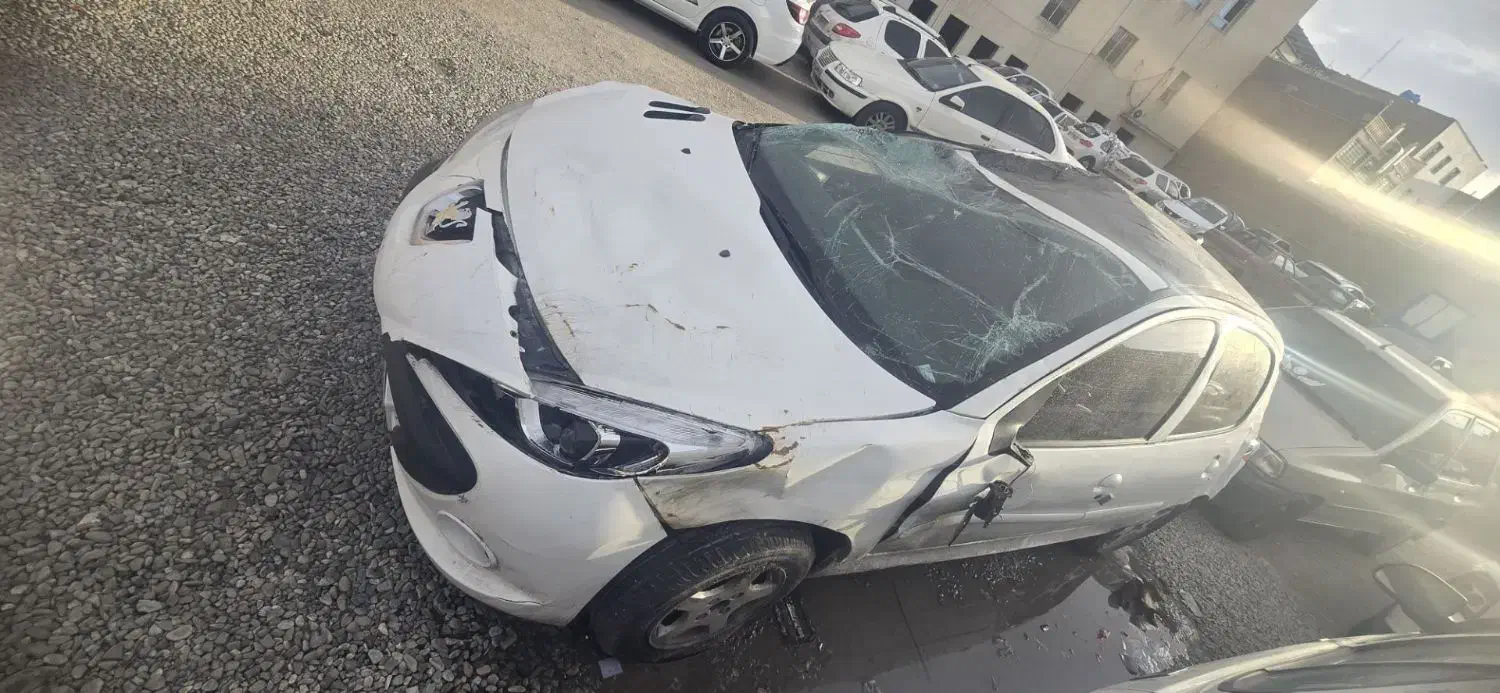 ۲۰۷ مدل ۱۴۰۱|خودرو سواری و وانت|رباطکریم, نصیرشهر|دیوار