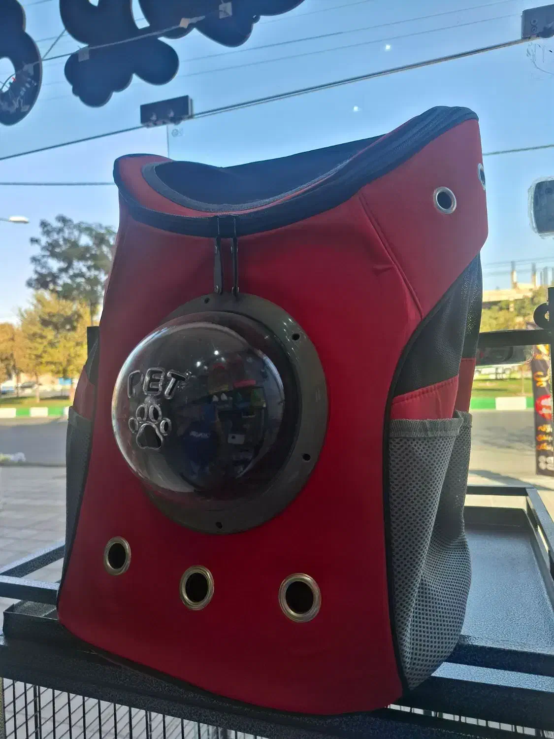 کوله پشتی حباب دار|لوازم جانبی حیوانات|قم, حکمت شمالی|دیوار