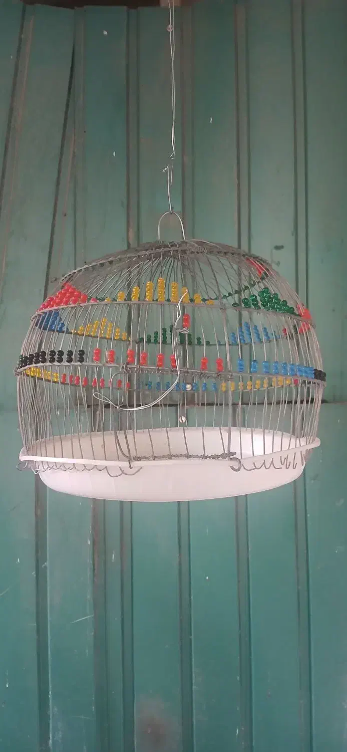 قفس سهره خاکی|لوازم جانبی حیوانات|ساوه, |دیوار