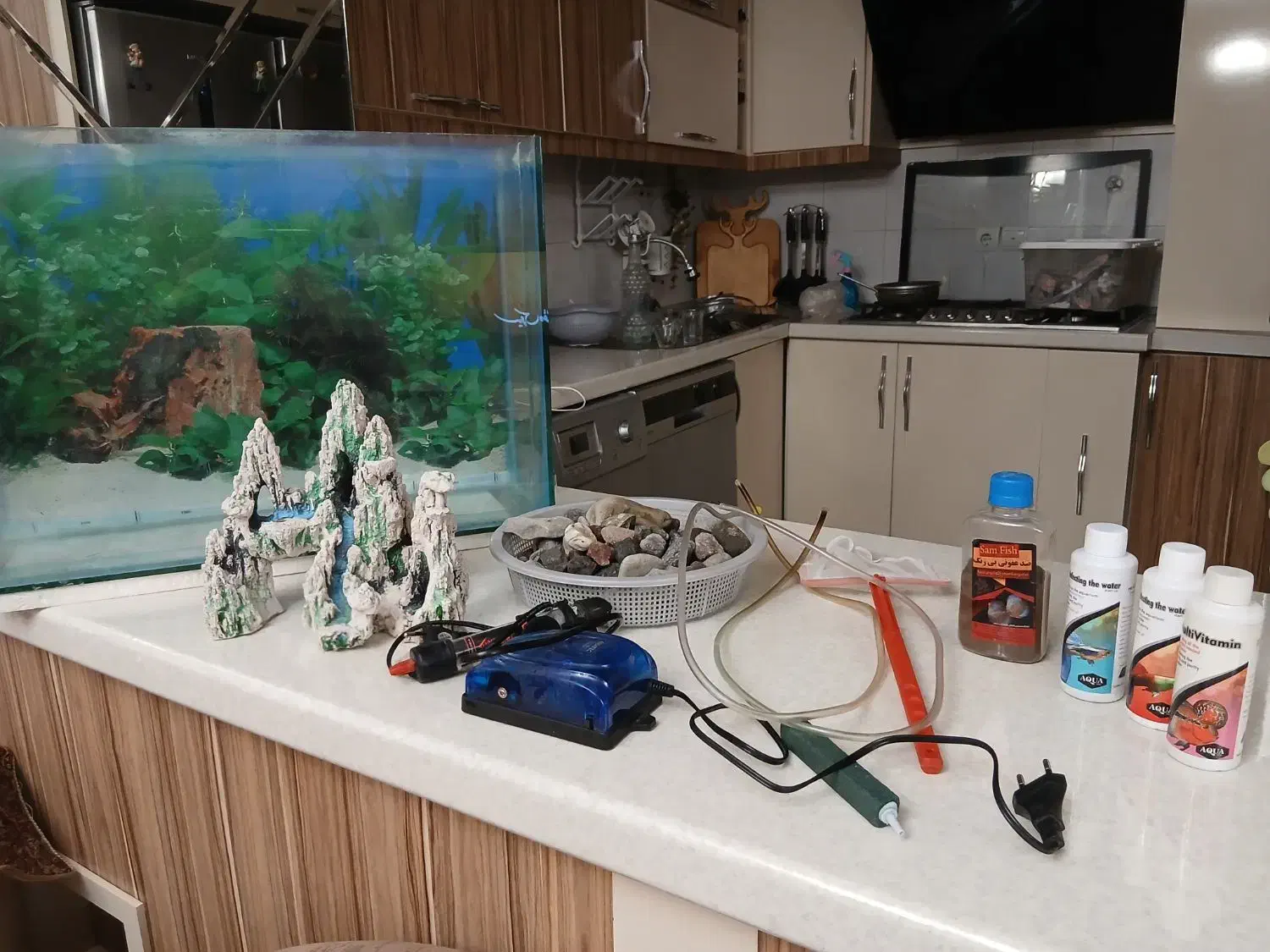آکواریوم با تجهیزات|ماهی|تبریز, |دیوار