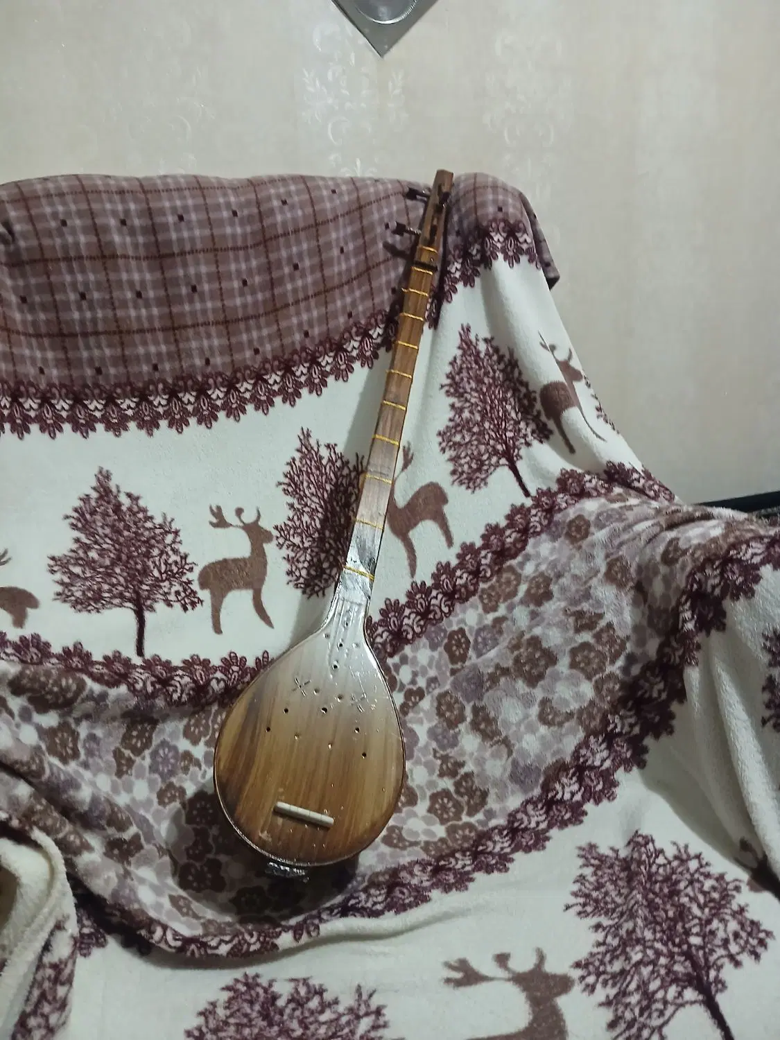 ساز|سازهای سنتی|پارسآباد, |دیوار