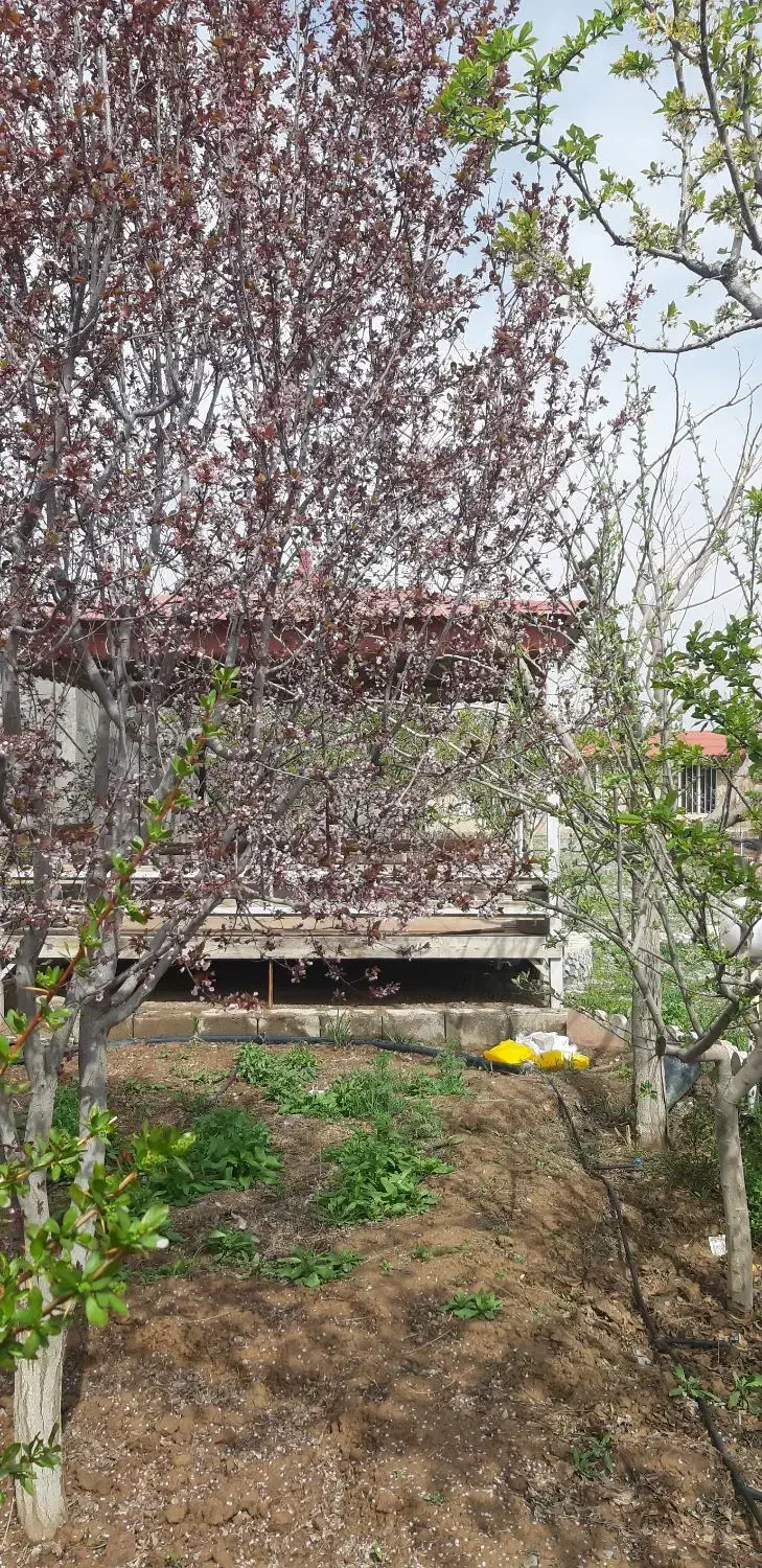 باغ ویلا ۱۰۰۰ متری در نصرآباد|فروش خانه و ویلا|مشهد, درزآب|دیوار