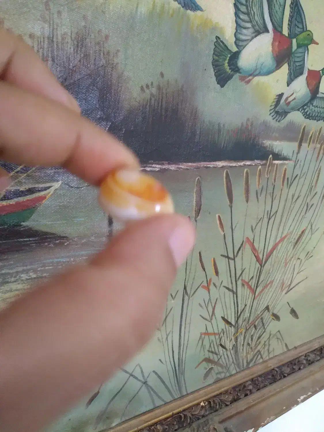 سنگ سلیمانی سه پوسته|جواهرات|بوشهر, |دیوار