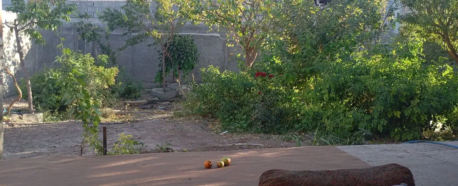 خانه گلزار بردسیر 14 قصب سوییت 80 متری|فروش خانه و ویلا|گلزار, |دیوار