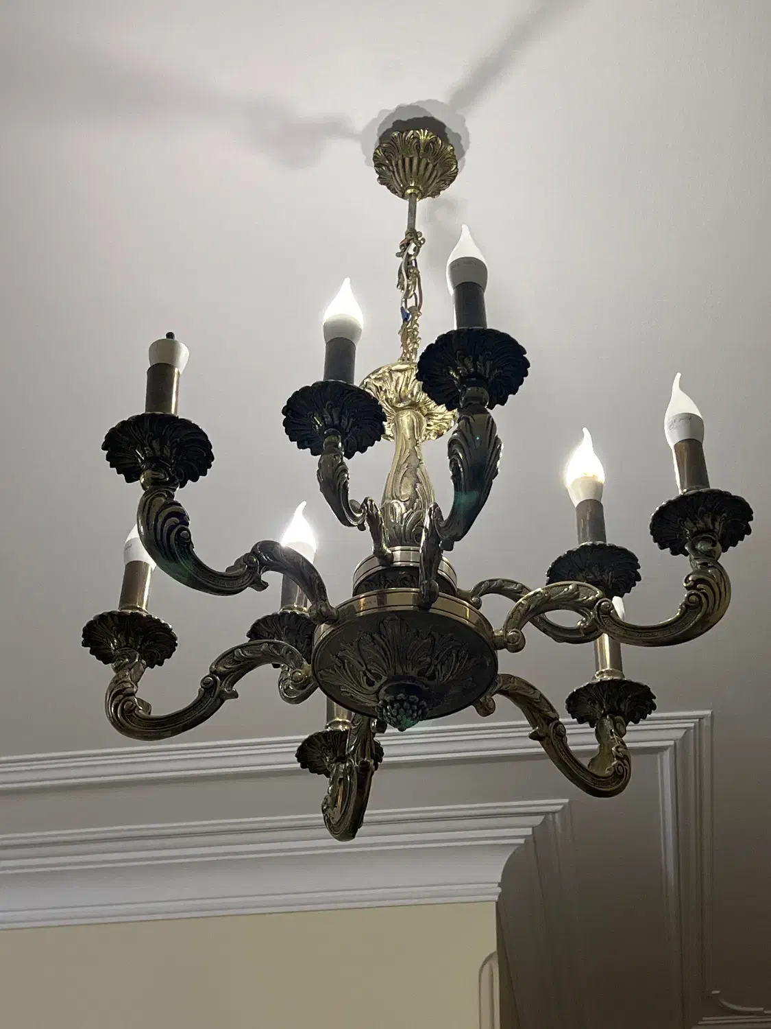 لوستر|لوستر و چراغ آویز|تهران, گیشا|دیوار