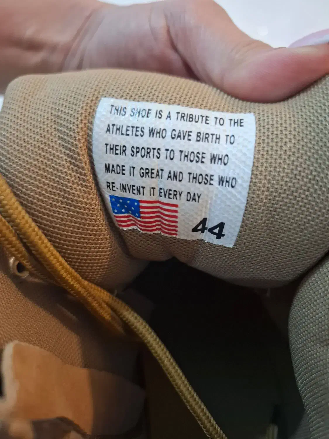 کفش ساق دار|کیف، کفش، کمربند|ساری, |دیوار