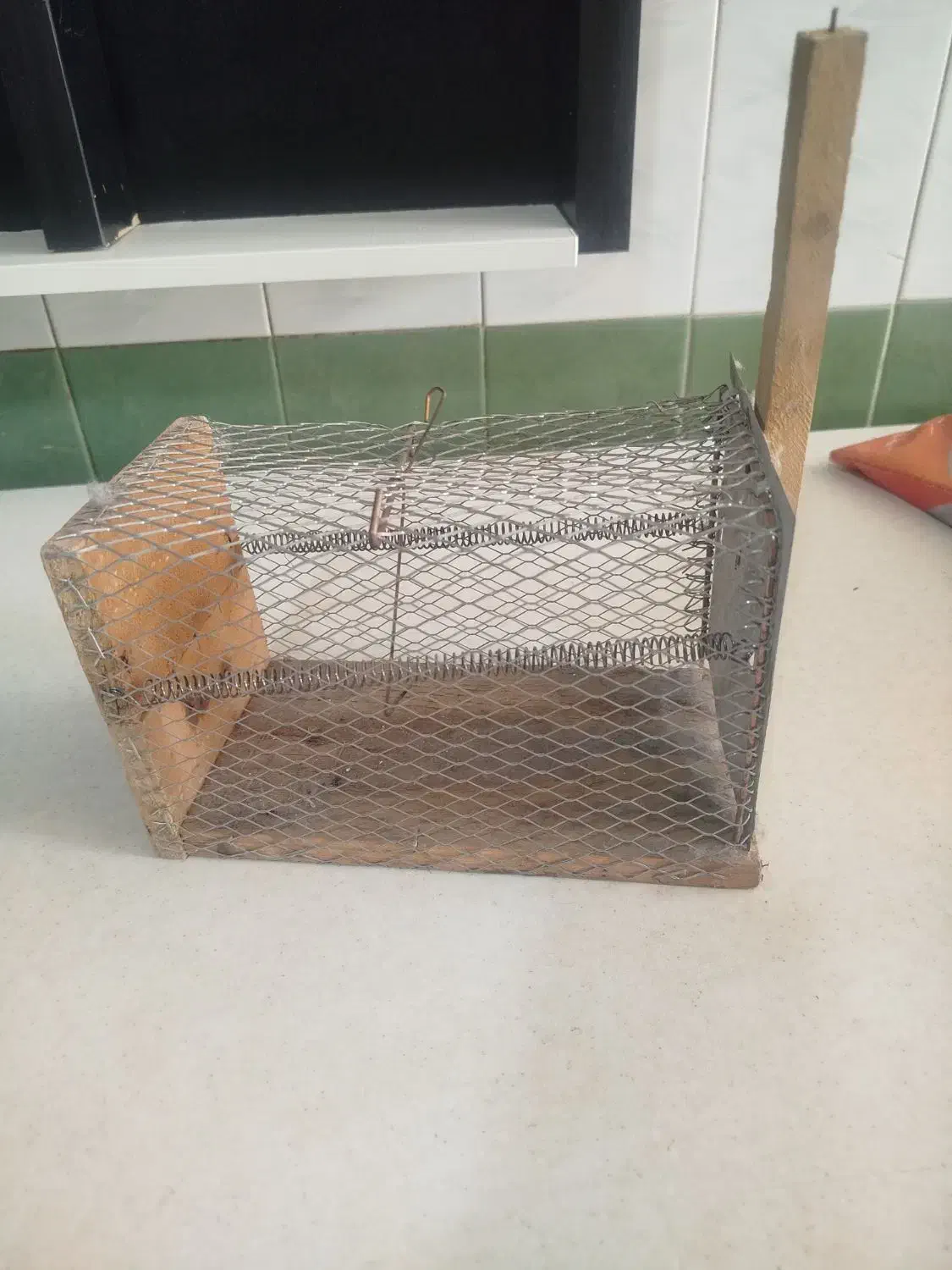 تله موش|لوازم نظافت|پاکدشت, پاکدشت (مامازند)|دیوار