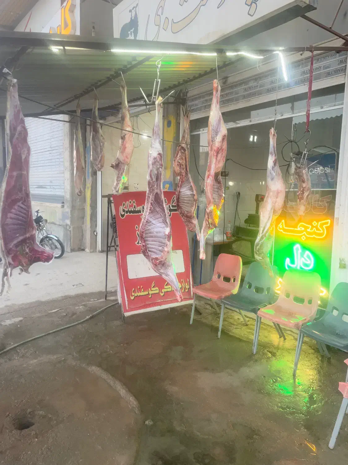 گوسفندزنده  وگوشت گوسفندی کشتارروز|حیوانات مزرعه|شیراز, کرونی(خاتونک)|دیوار