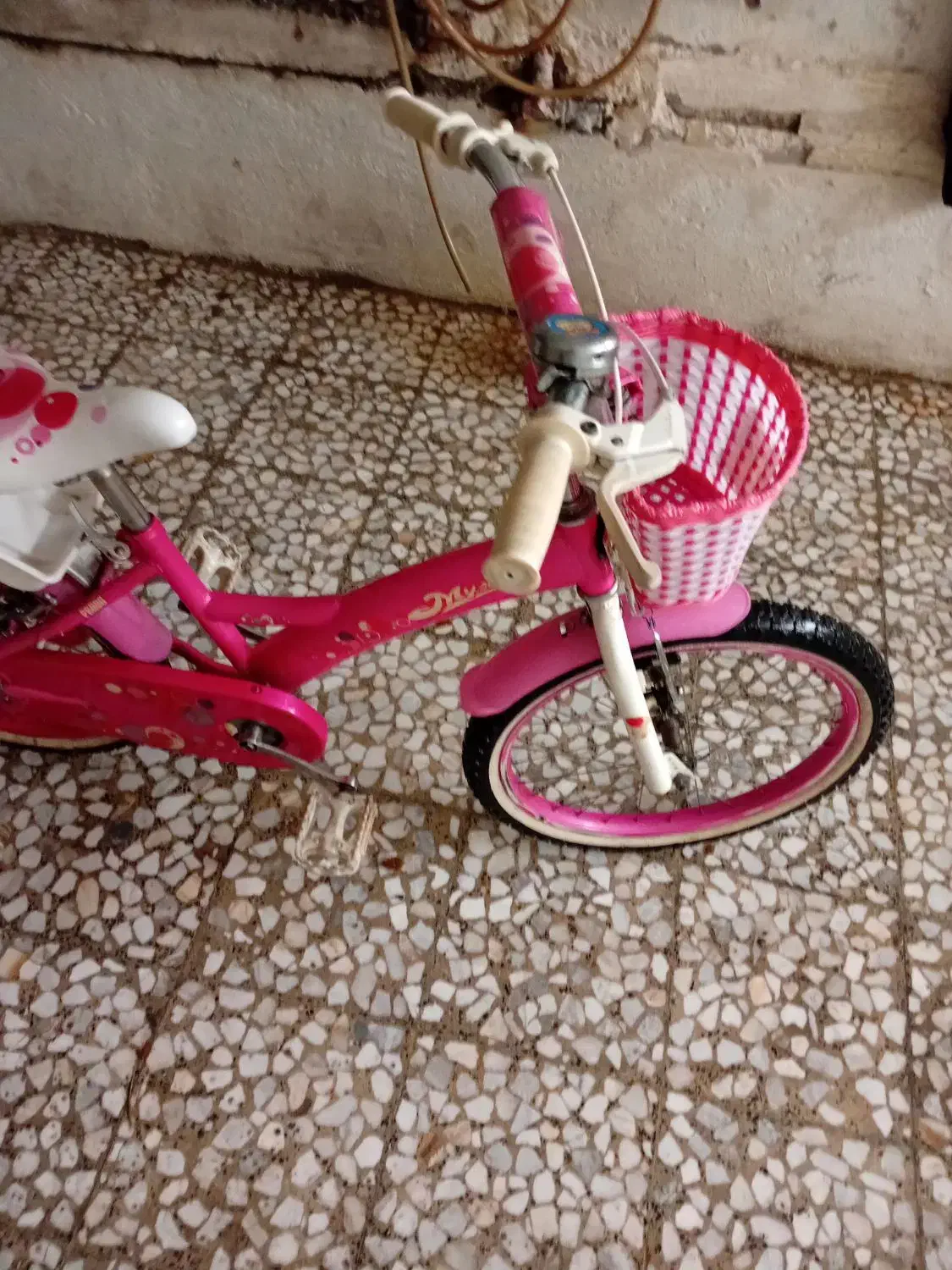 دوچرخه ۲۰دخترانه|دوچرخه، اسکیت، اسکوتر|رشت, معلولین|دیوار