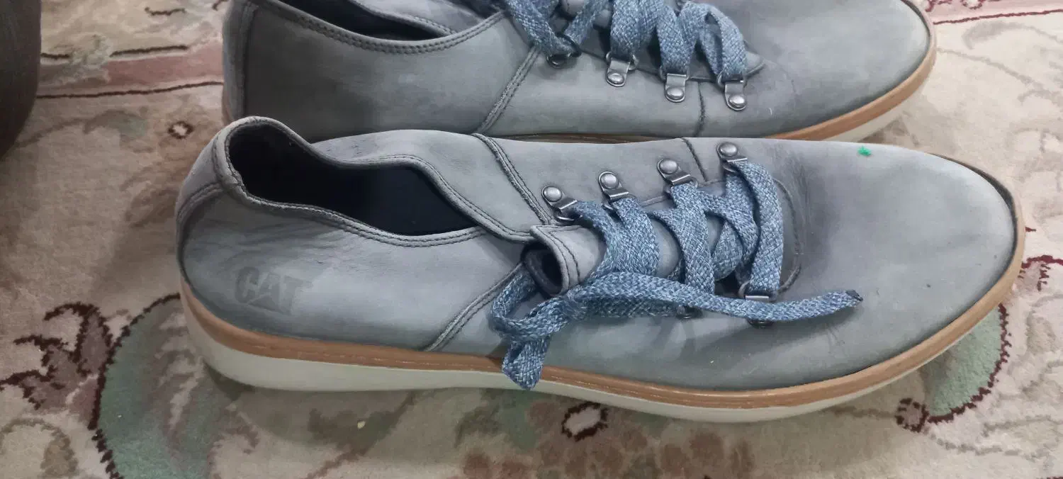 یک جفت کفش خارجی وکفش ودمپایی ایرانی|کیف، کفش، کمربند|شهرضا, |دیوار