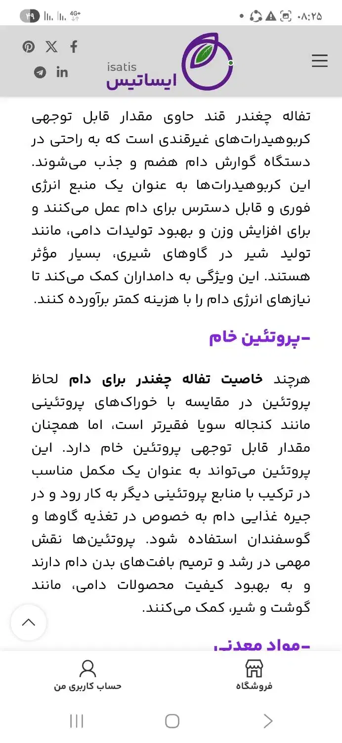 بسم الله تفاله چغندر قند|عمدهفروشی|خلخال, |دیوار