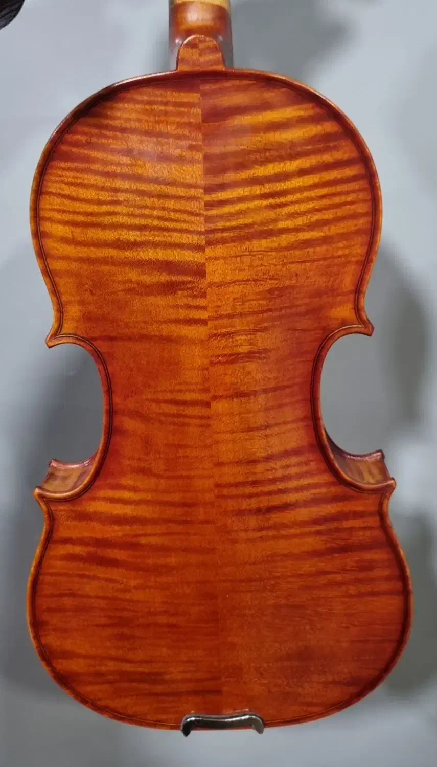 فروش ویلن المانی|ویولن|شیراز, شهرک سراج|دیوار