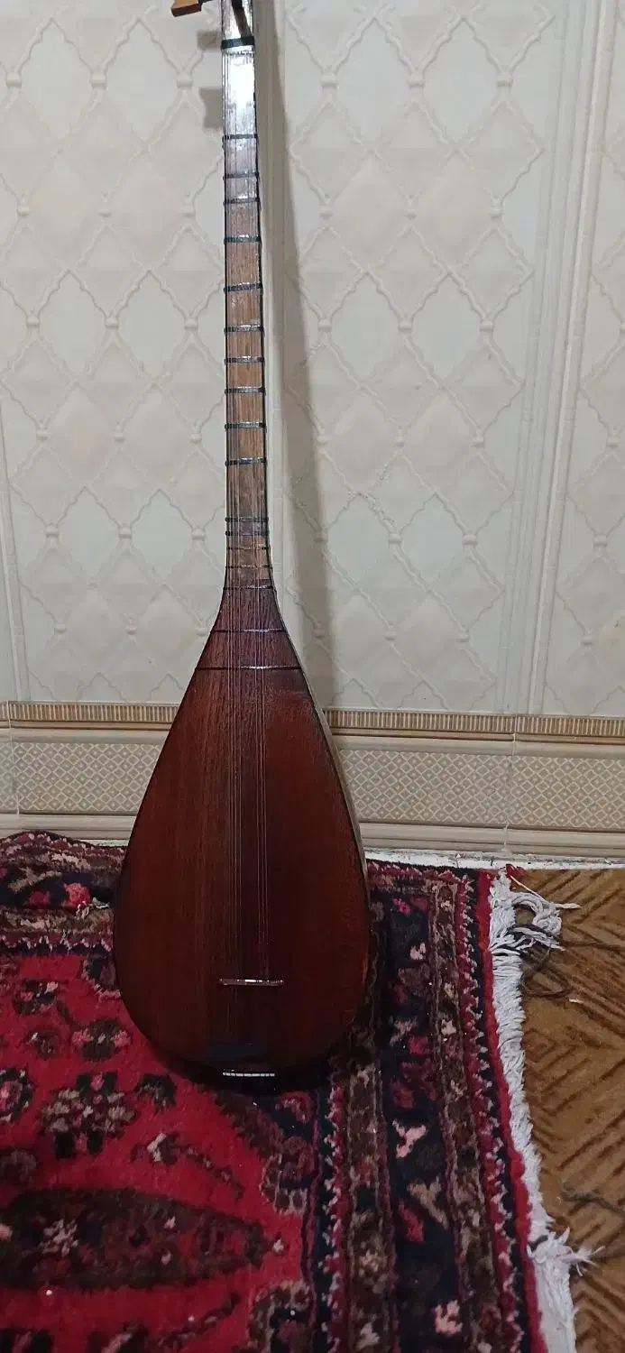 ساز ۹تارازربایجانی|سازهای سنتی|رباط‌کریم, نصیرشهر|دیوار