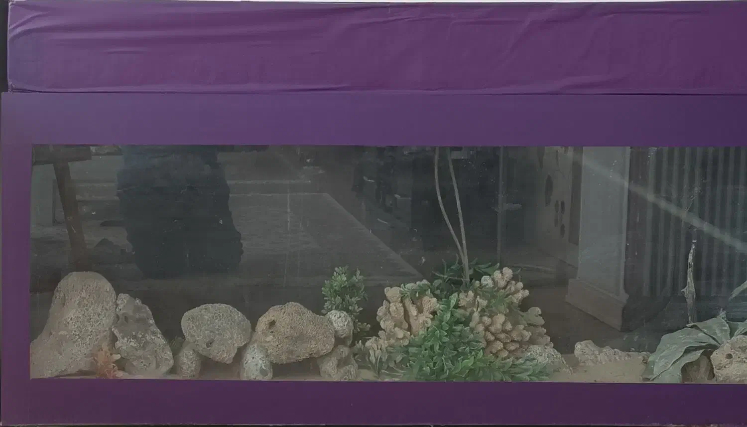 آکواریوم|ماهی|بجنورد, |دیوار