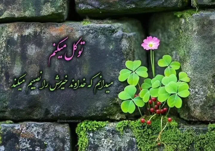 نیازمند سرویس مدرسه ازحکمی به مغیری هستم|فعالیت داوطلبانه|میناب, |دیوار