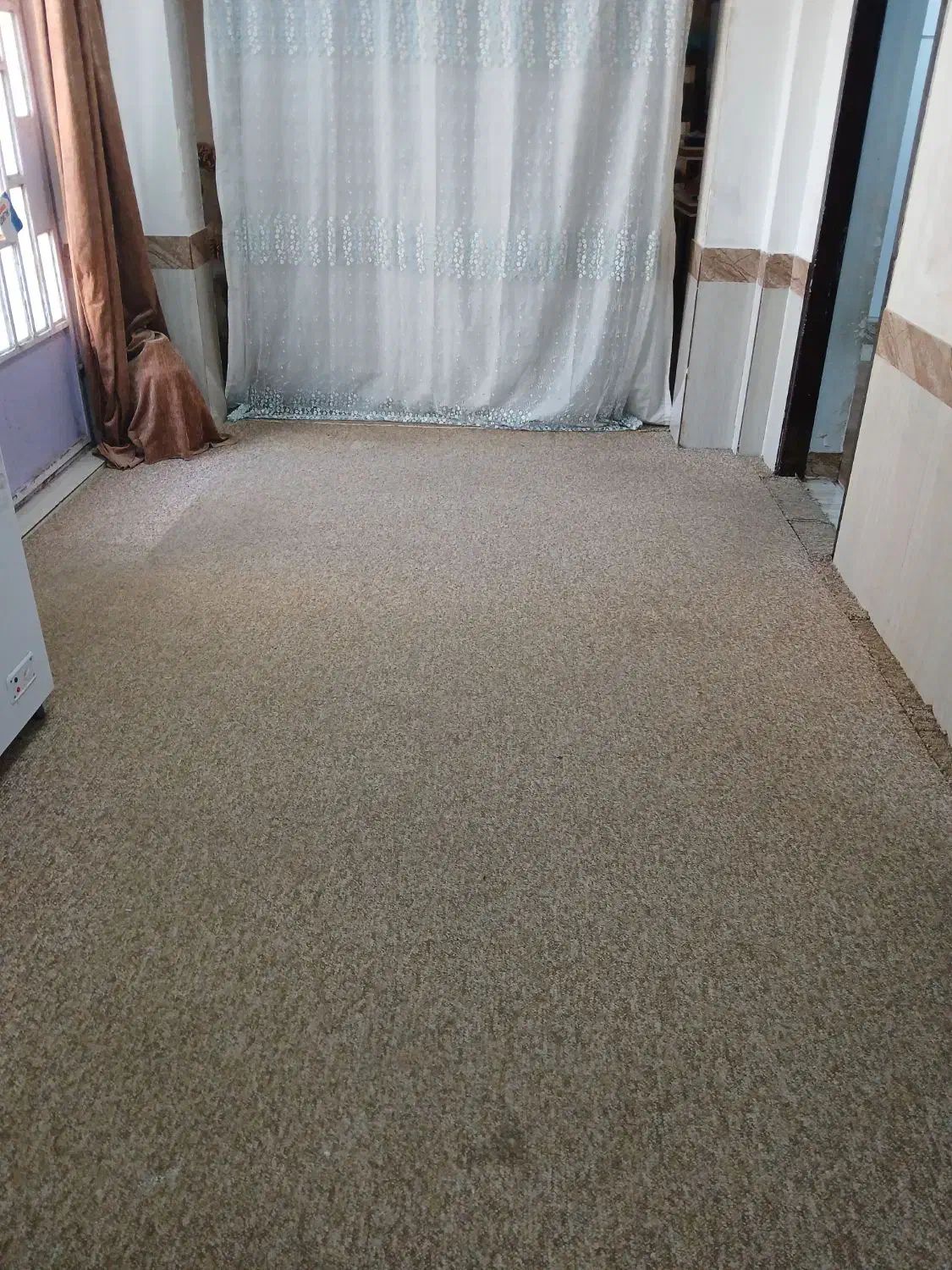 موکت پالاز|موکت|آبادان, |دیوار