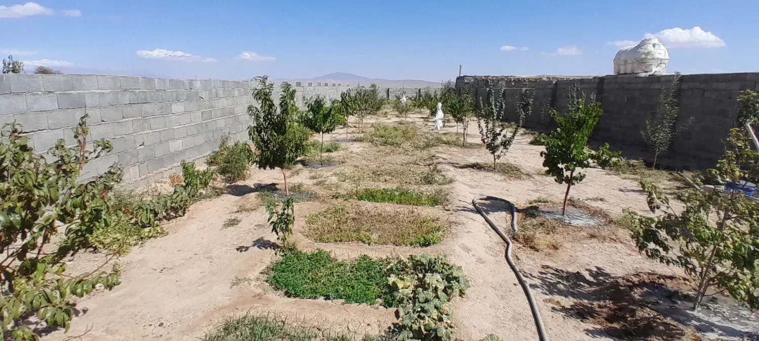 فروش باغ روبروی شهرک رضوی بسطام|فروش زمین و ملک کلنگی|بسطام, |دیوار