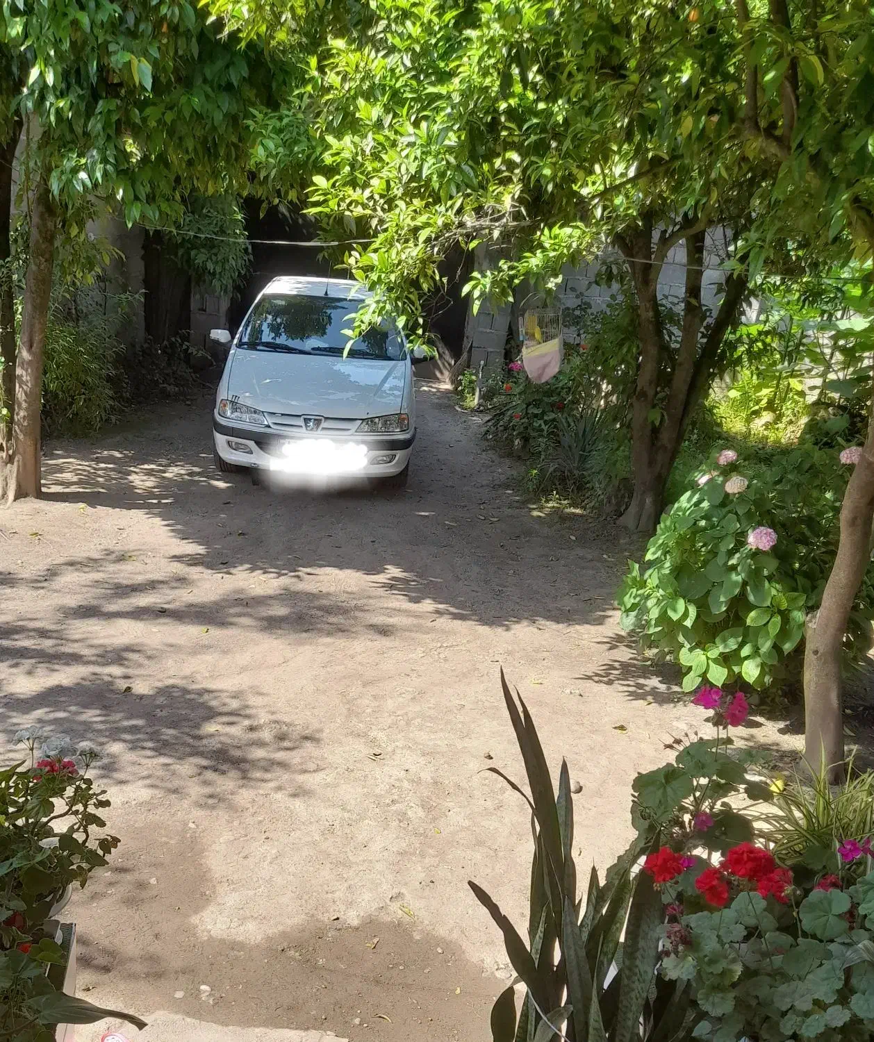 اجاره سوییت ویلا وکلبه با تمام امکانات|اجارهٔ کوتاهمدت آپارتمان و سوئیت|ماسال, |دیوار