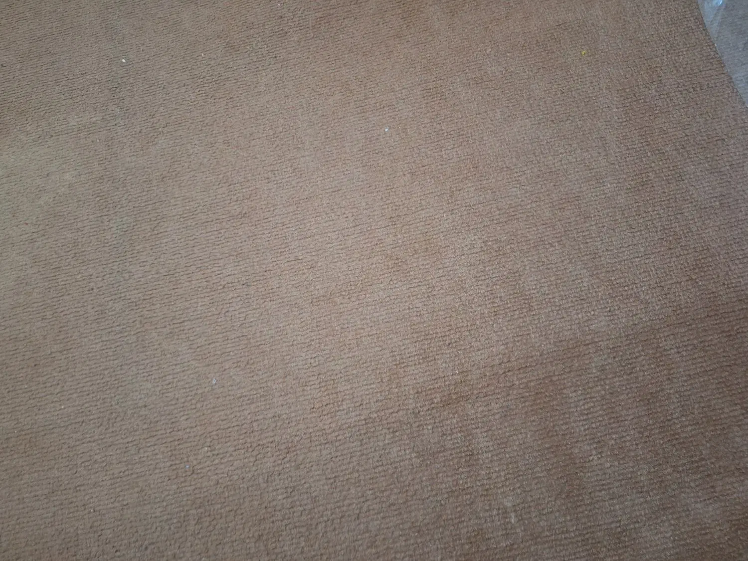 موکت|موکت|مسجد سلیمان, |دیوار