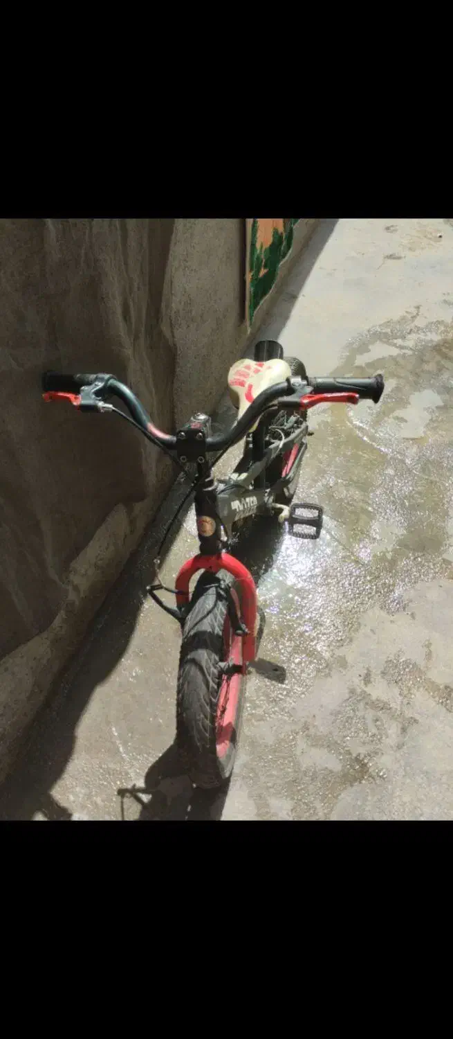 دوچرخه حرفه ی|دوچرخه، اسکیت، اسکوتر|سنقر, |دیوار