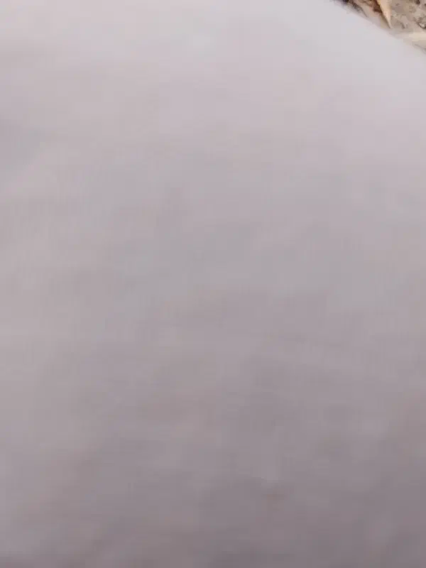 آینه متری  سالم|آینه|رباط‌کریم, رباط‌کریم|دیوار