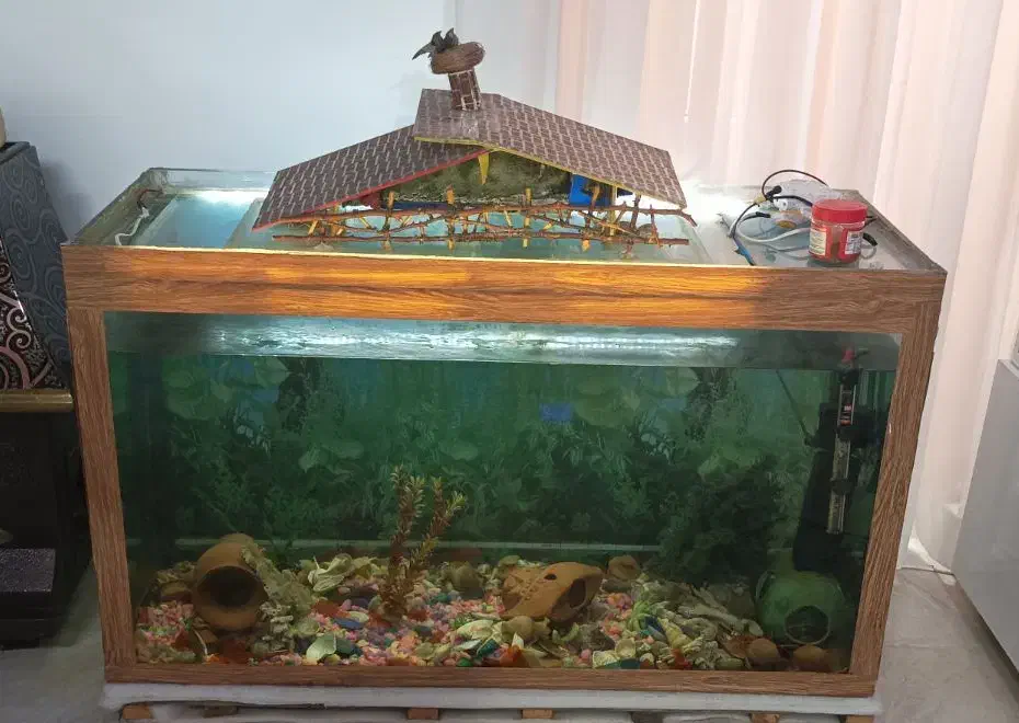 فروش اکواریوم بزرگ با ماهی و کلی لوازم همراه|ماهی|بندر انزلی, بی بی حوریه|دیوار