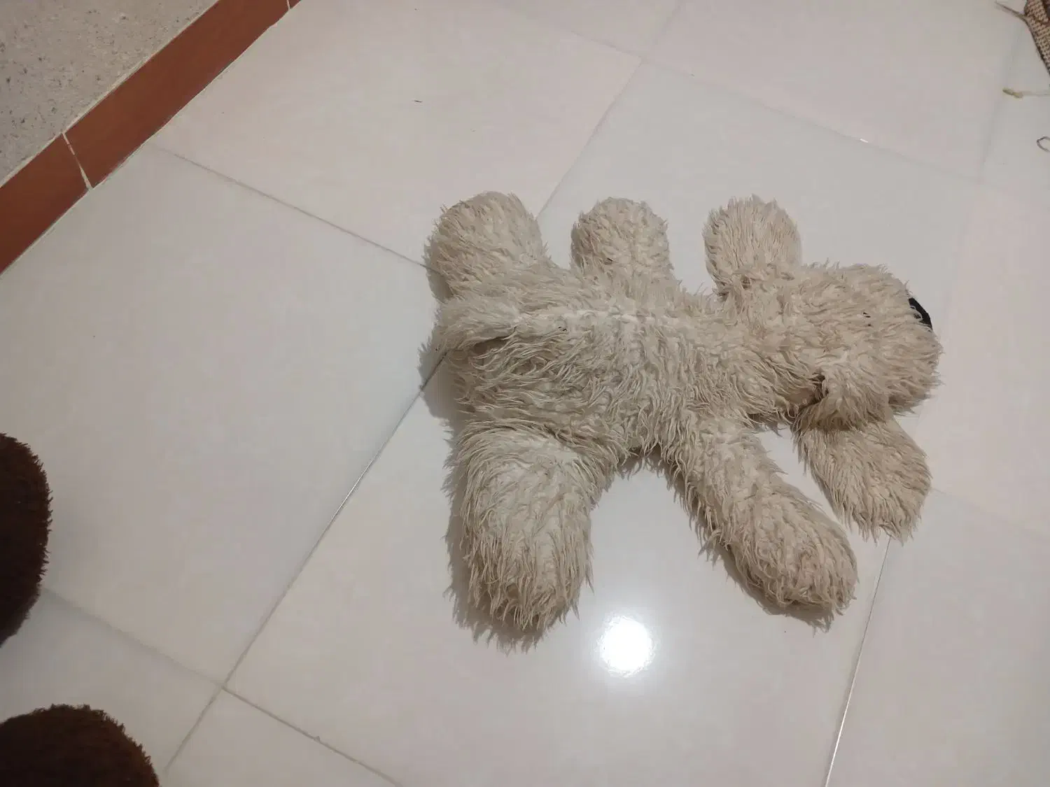 عروسک سگ|اسباب‌‌بازی|ساری, |دیوار