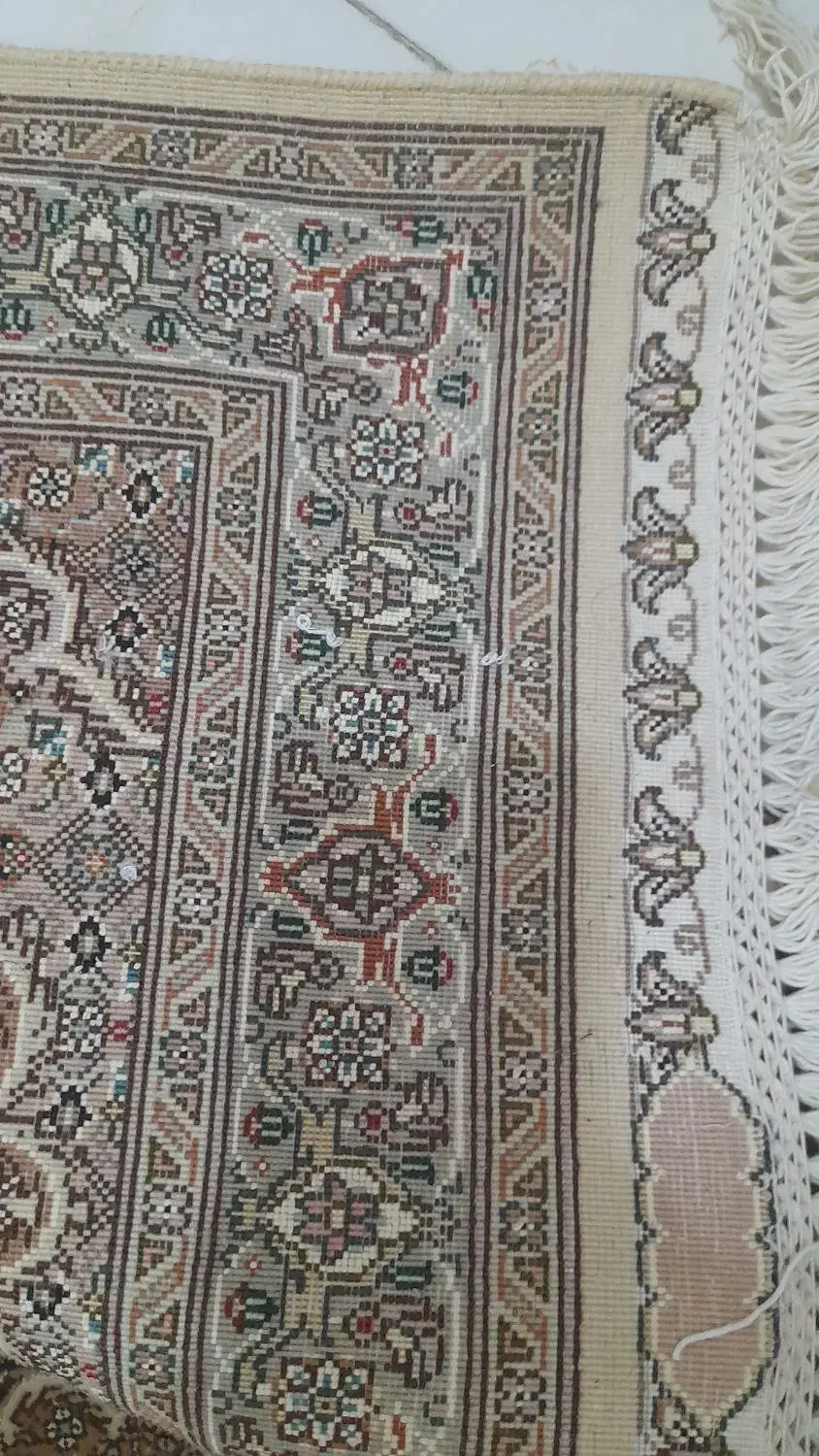 تعدادی پادری درطرحهای مختلف|پادری|فردیس, فردیس|دیوار