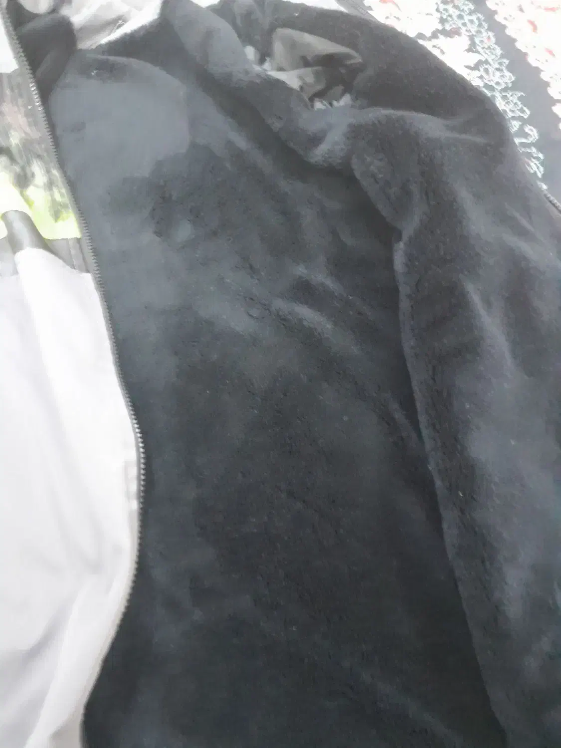 کاپشن نو|لباس|بیرجند, |دیوار