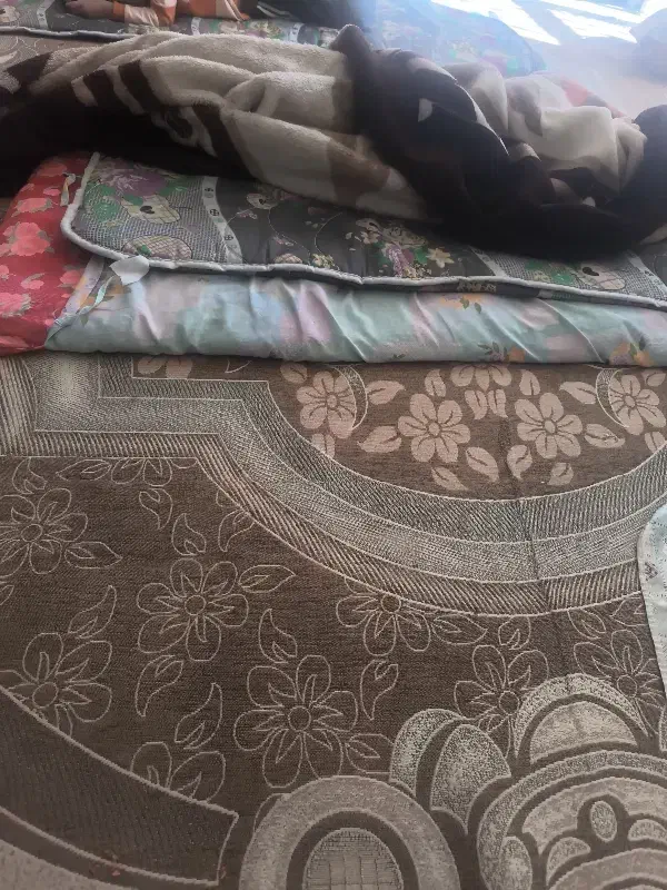 فروش|موکت|مبارکه, |دیوار