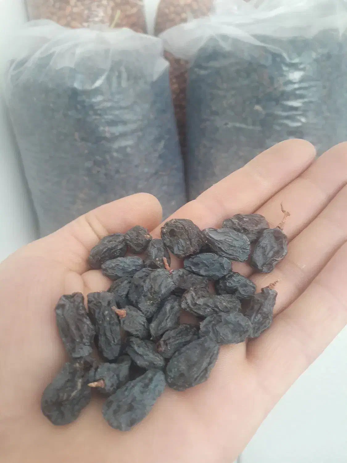 سنجد|خوردنی و آشامیدنی|همدان, |دیوار