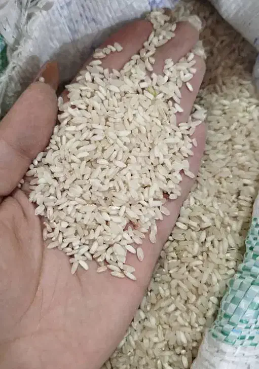 برنج عنبر بو درجه ۱ تازه|خوردنی و آشامیدنی|بهبهان, |دیوار