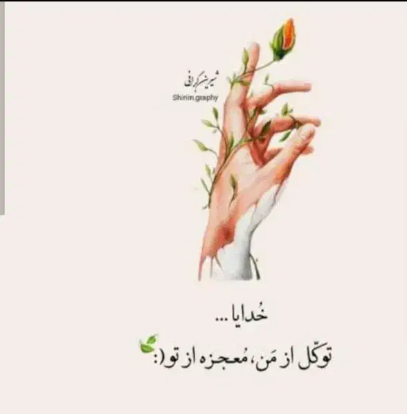 پوشاک زنانه|لباس|آبدانان, |دیوار