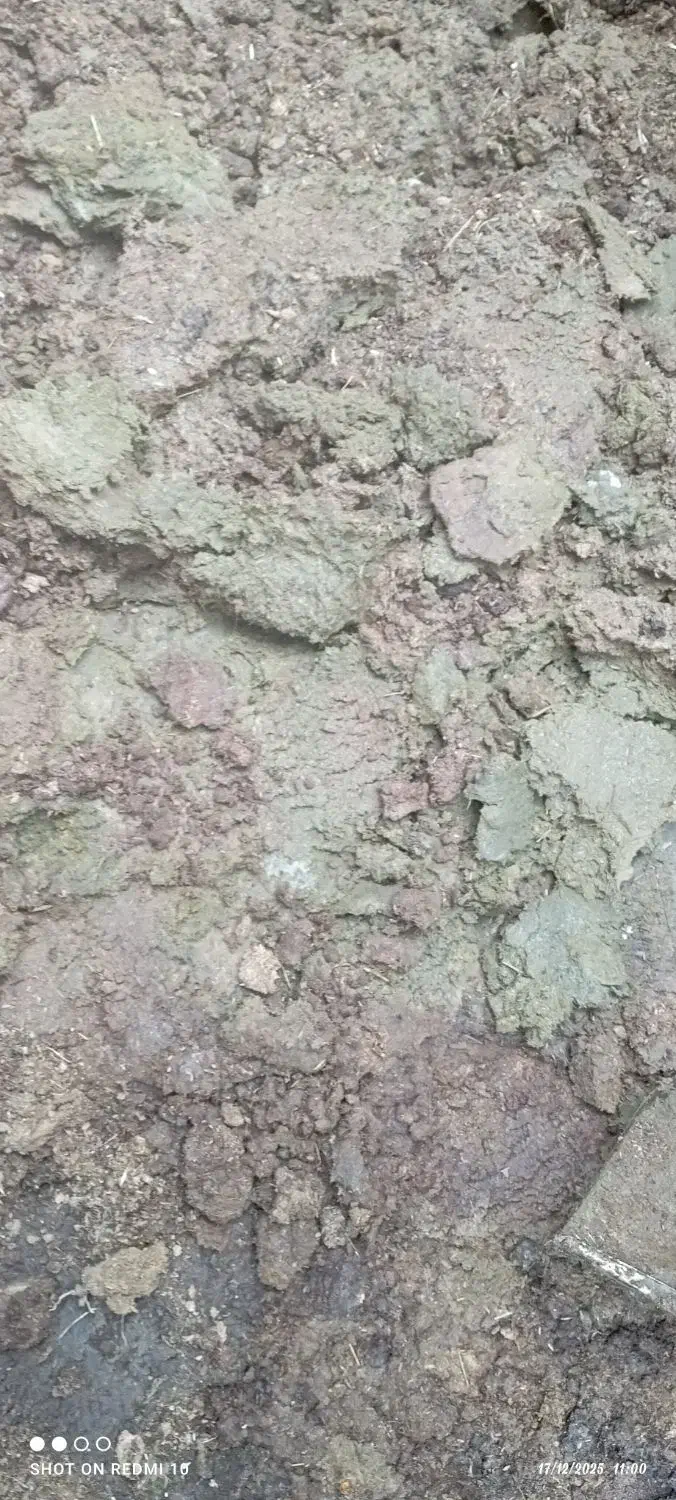 کود|گل و گیاه طبیعی|بم, |دیوار