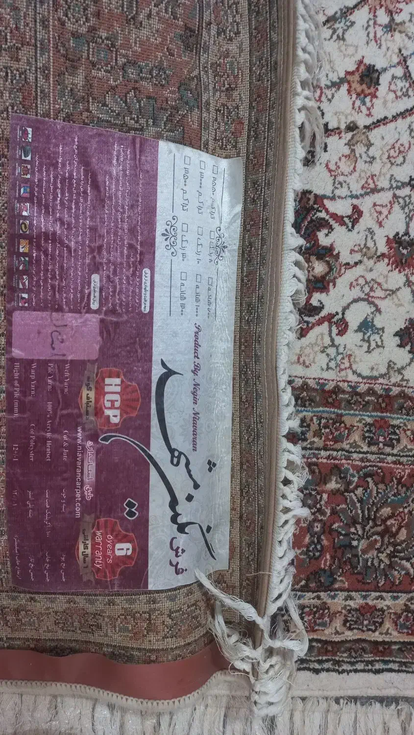 فرش شگی و فرش ۶ متری|فرش|کرمانشاه, |دیوار