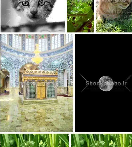 ایده طراحی سایت|فعالیت داوطلبانه|تهران, شهرک آزادی|دیوار