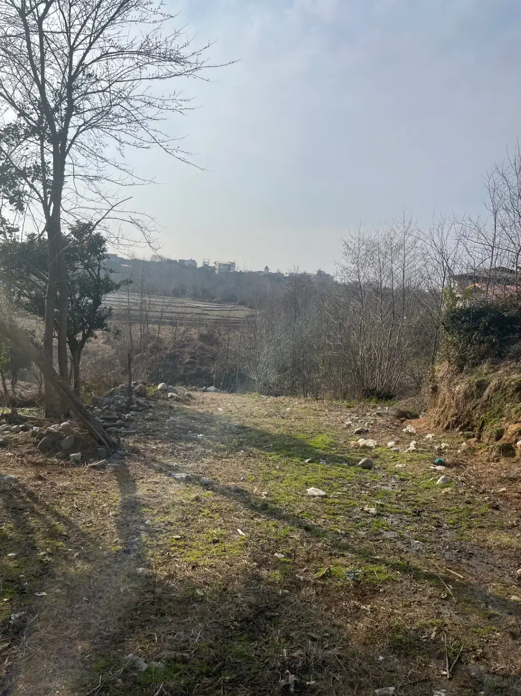 فروش زمین مسکونی|فروش زمین و ملک کلنگی|واجارگاه, |دیوار