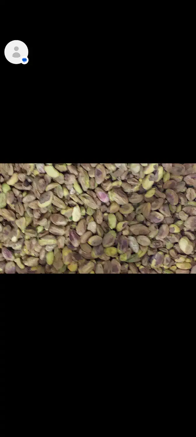 مغز پسته|خوردنی و آشامیدنی|شیراز, حومه شیراز|دیوار