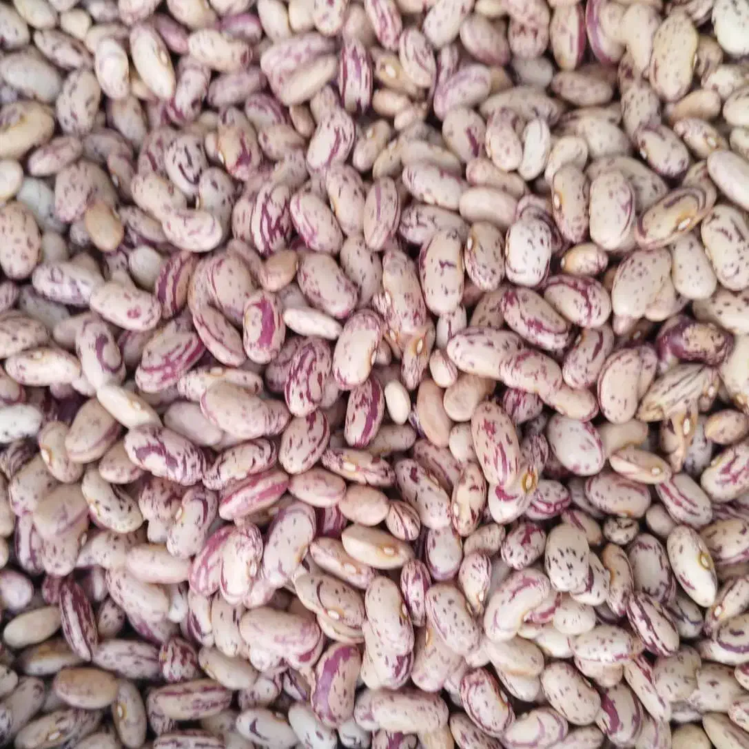 کشمش گردو بادام|خوردنی و آشامیدنی|تویسرکان, |دیوار