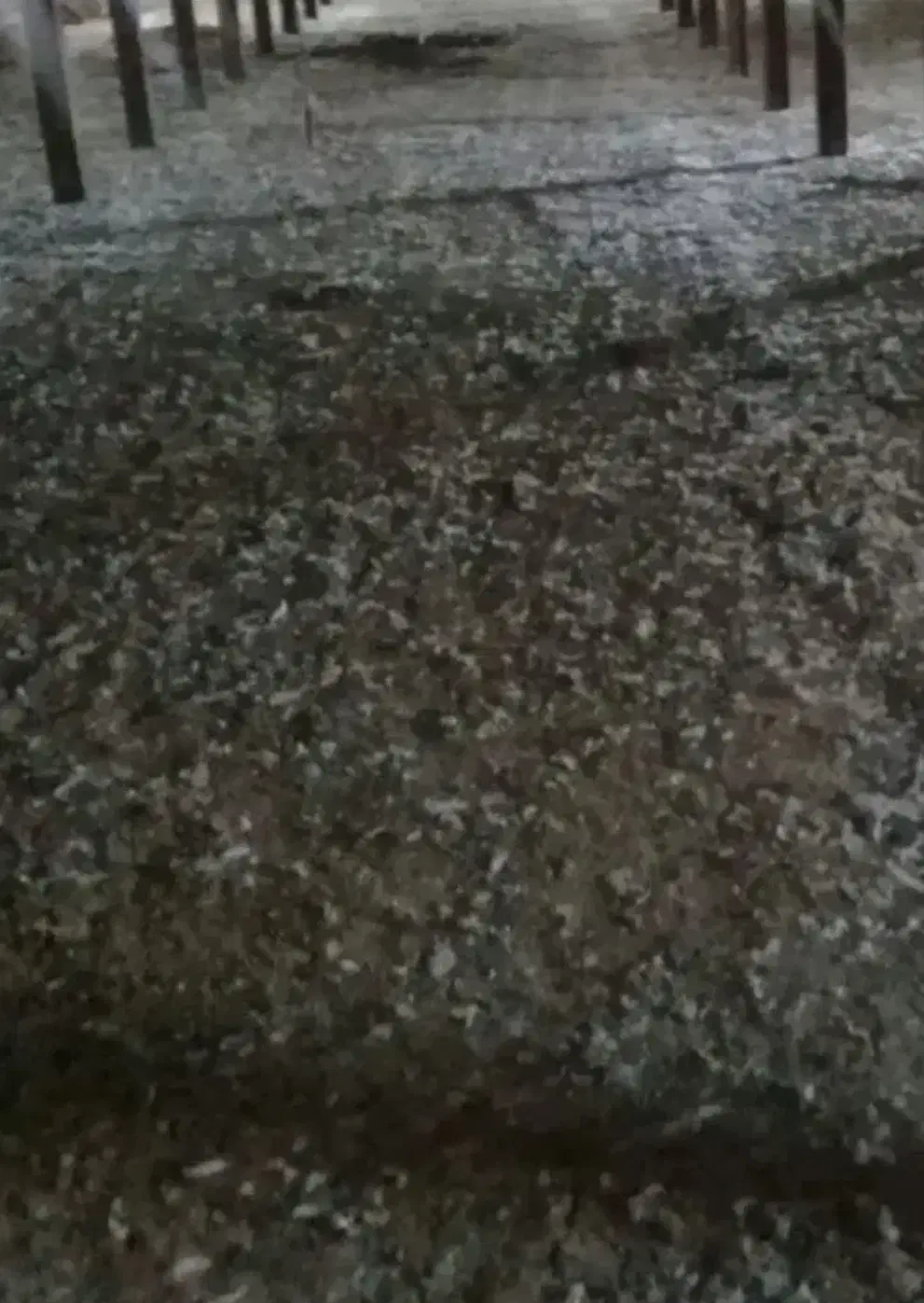 کود مرغ|خدمات باغبانی و درختکاری|جیرفت, |دیوار