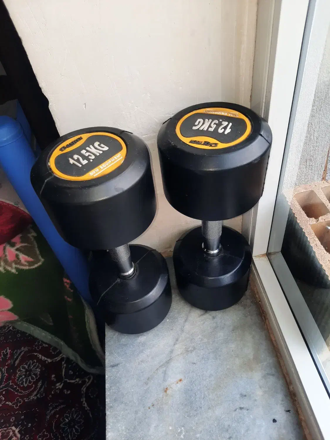 دمبل ۲۵کیلویی صفر|تجهیزات ورزشی|سقز, |دیوار