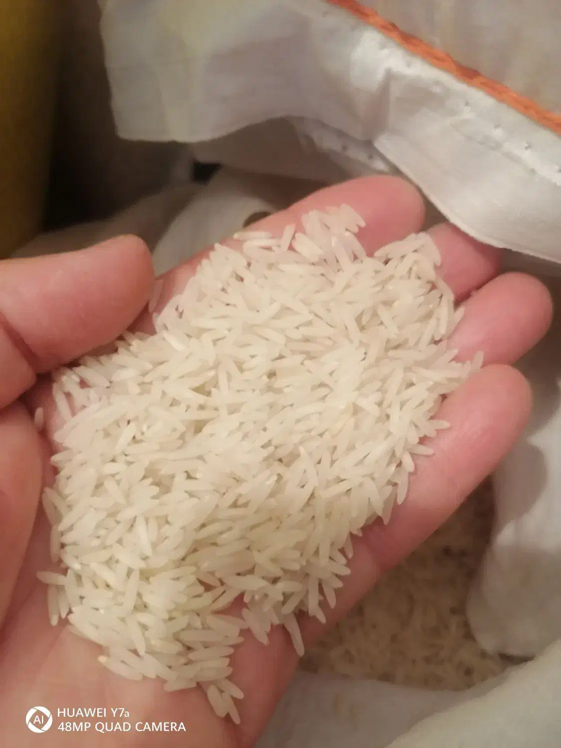 برنج گیلان صدری هاشمی  سالم یکدست بشرط پخت|خوردنی و آشامیدنی|قزوین, |دیوار