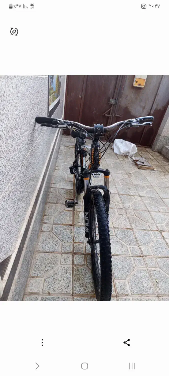 دوچرخه|دوچرخه، اسکیت، اسکوتر|سربیشه, |دیوار