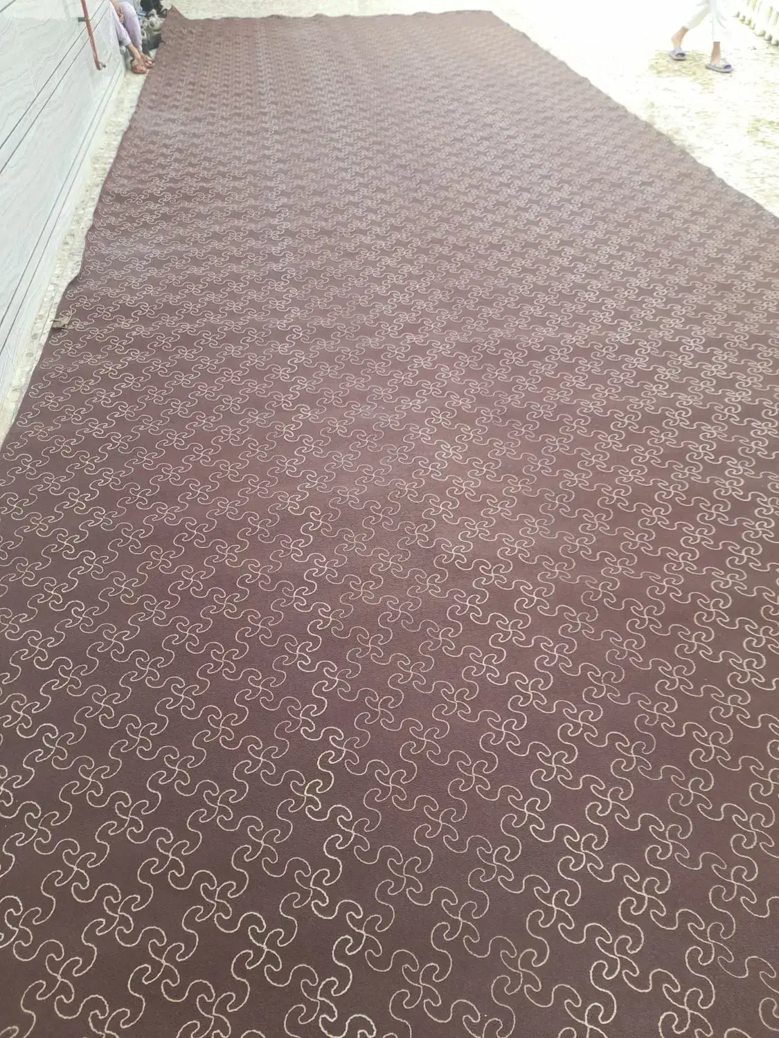 موکت|موکت|رضوانشهر, |دیوار