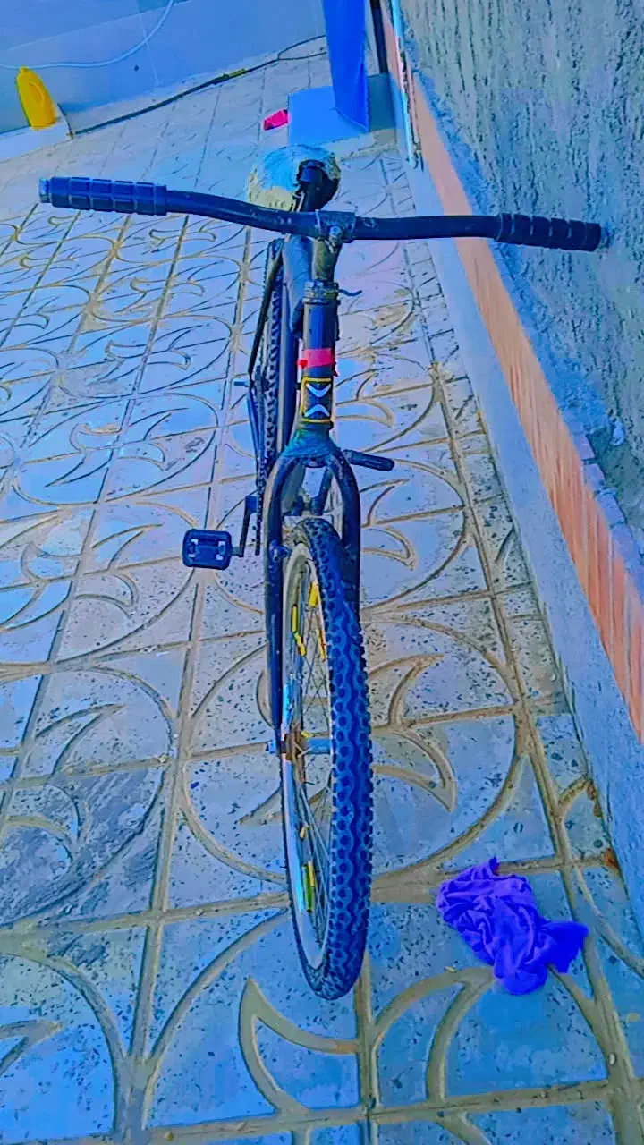 دوچرخه|دوچرخه، اسکیت، اسکوتر|اسدآباد, |دیوار