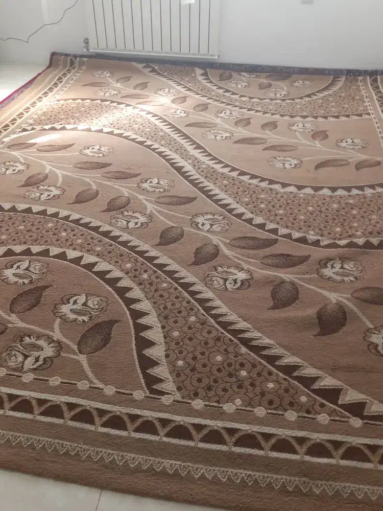 فروش فوری فرش|فرش|زرقان, |دیوار