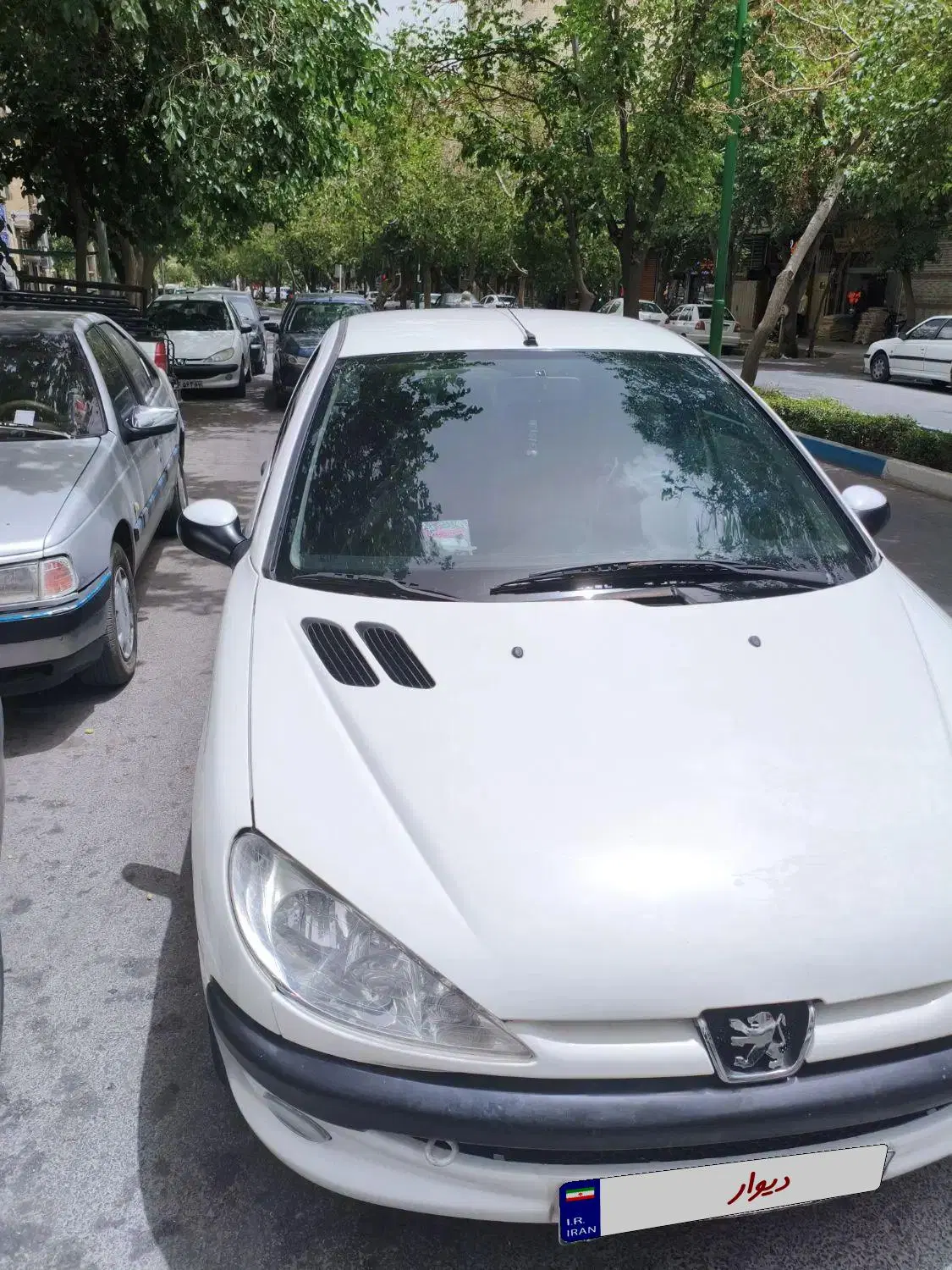206 sd tu5|خودرو سواری و وانت|اصفهان, کوجان|دیوار