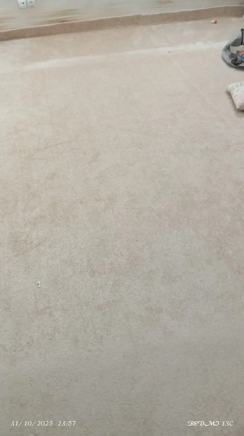 پالاز|موکت|بیرجند, |دیوار