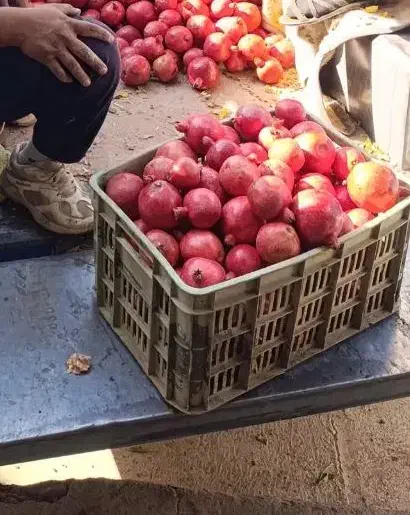 انار کیلوی ۵۰|حراج|نورآباد, |دیوار