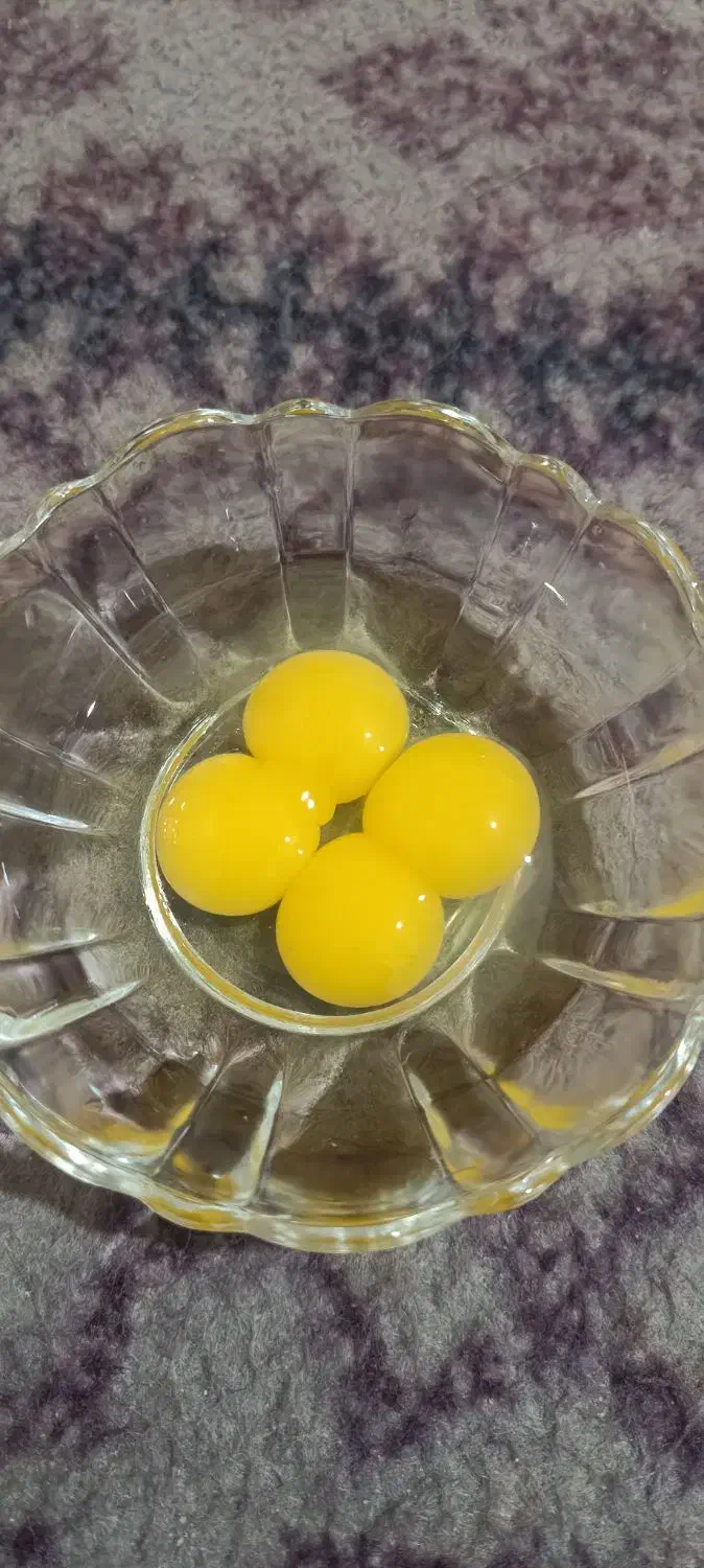 تخم بلدرچین برند ویژن|خوردنی و آشامیدنی|بهارستان, |دیوار